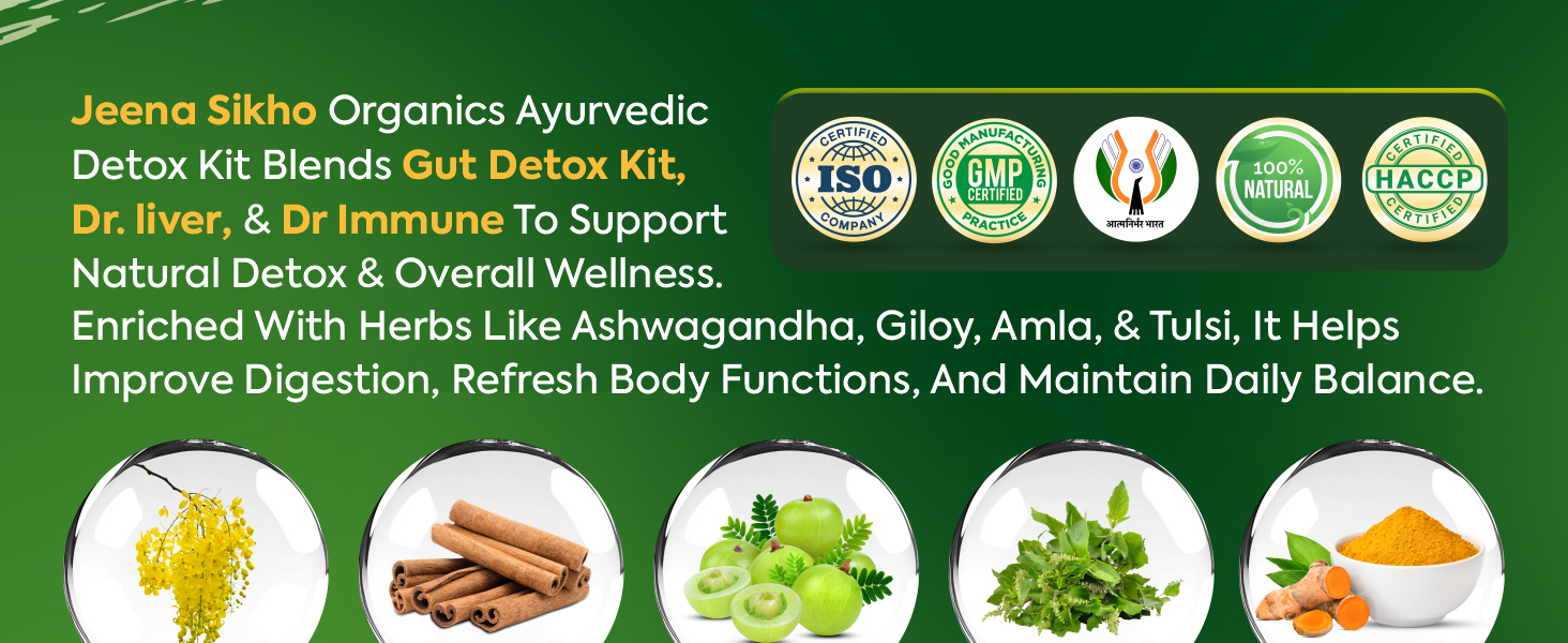 Jeena Sikho Organics Ayurvedic Gut Detox Kit, Liver Care & Immunity Combo | Pet Yakrit Pleeha Shuddhi Kit + Dr. Liver + Dr. Immune | With Amla, Giloy & Tulsi | For Digestion & Daily Immunity