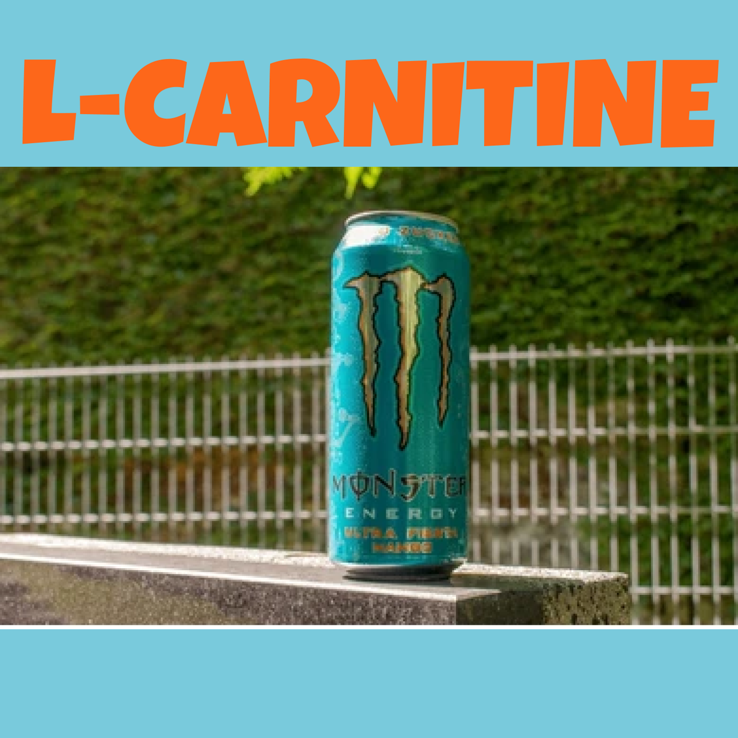 Monster Energy® Ultra Fiesta® Mango Carbonated Energy Drink | L-Carnitine + Taurine + Zero Sugar, 16.91 fl oz ℮ 500 ml