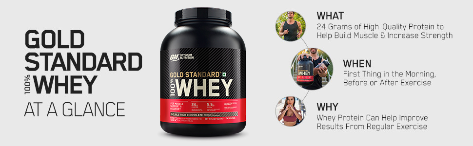OPTIMUM NUTRITION (ON) Gold Standard 100% Whey Protein Powder 1 Lbs, 454 G (Vanilla Ice Cream) & L-Glutamine Powder, 250 Gram, 1 Scoop