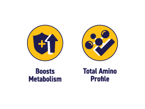 STROOM Protein Bar Pack | Choco Orange Dream | 20g Protein Bar | 5 Bars