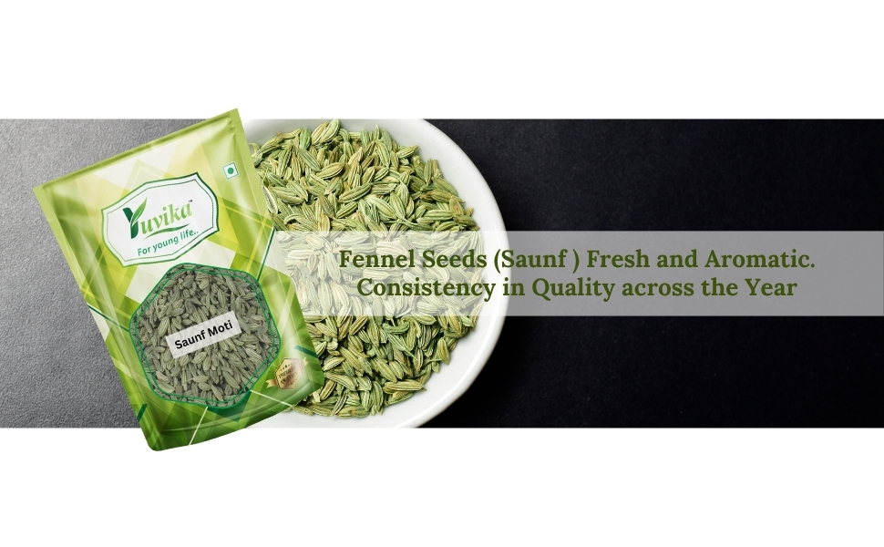 Yuvika Saunf Moti - Sonf Moti - Foeniculum Vulgare - Fennel Seed Big 400 Grams