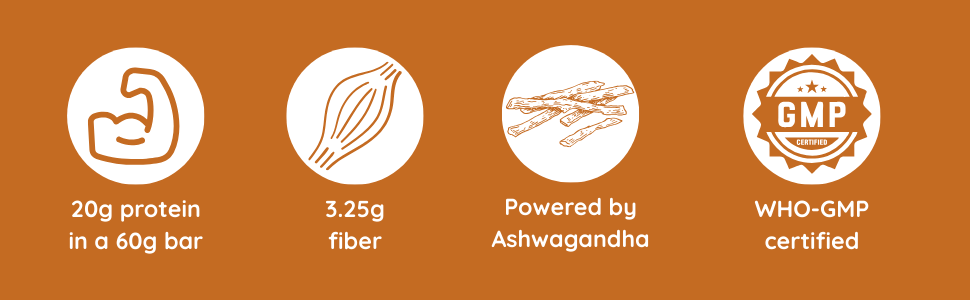 Ayurvedant Choco Nuts Protein Bar, 20g Protein, No Added Sugar, 60g x 6 Pack|From The House Of Baidyanath