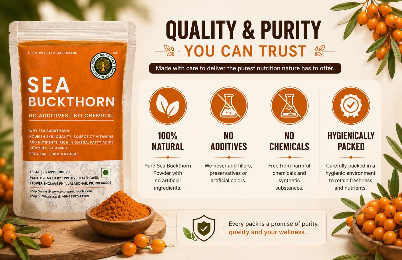 Sea Buckthorn Berries Powder 100g | Rich in Omega 3,6,7,9 | Rich in Vitamin C | Best for Skin and Immunity | No added sugar or preservatives