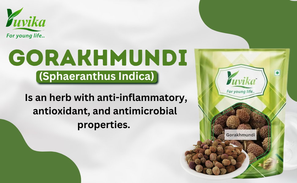 YUVIKA Gorakhmundi - Sphaeranthus Indicus - East Indian Globe Thistle 100 Grams
