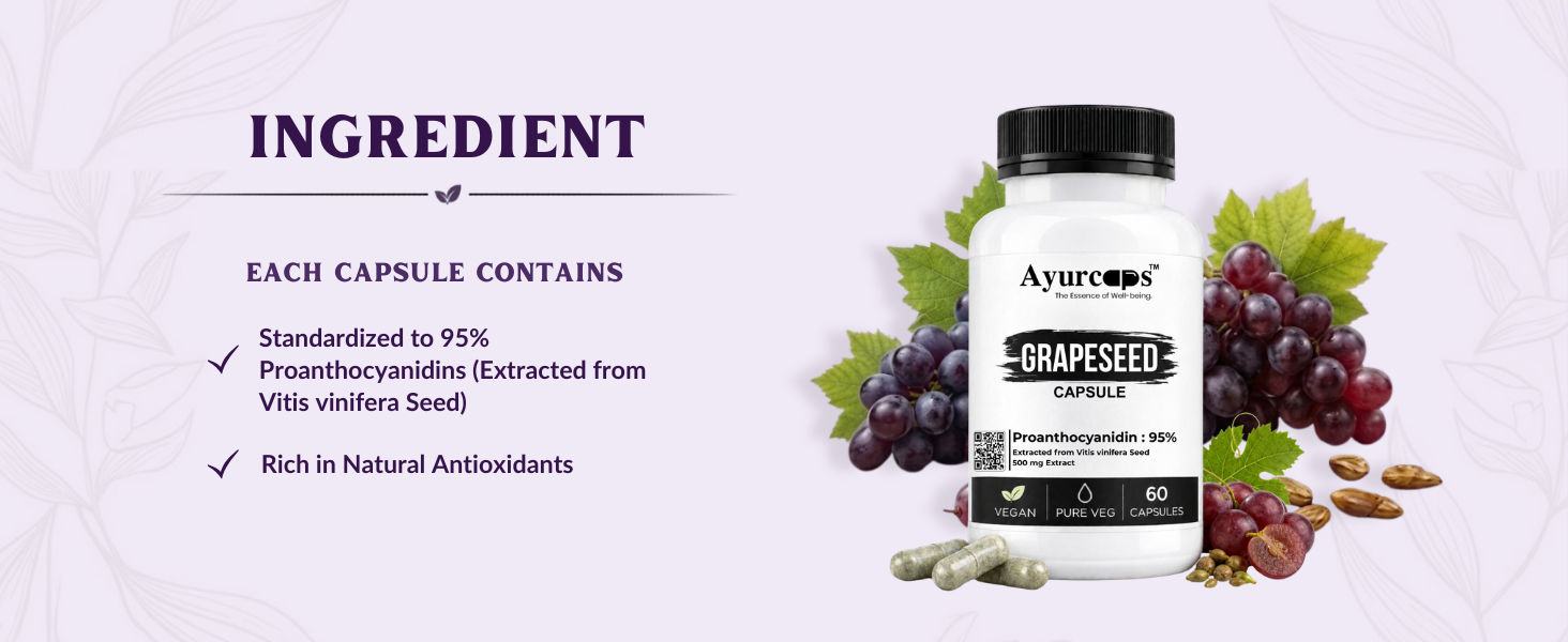 Grapeseed Capsule 500 mg 60 Capsule