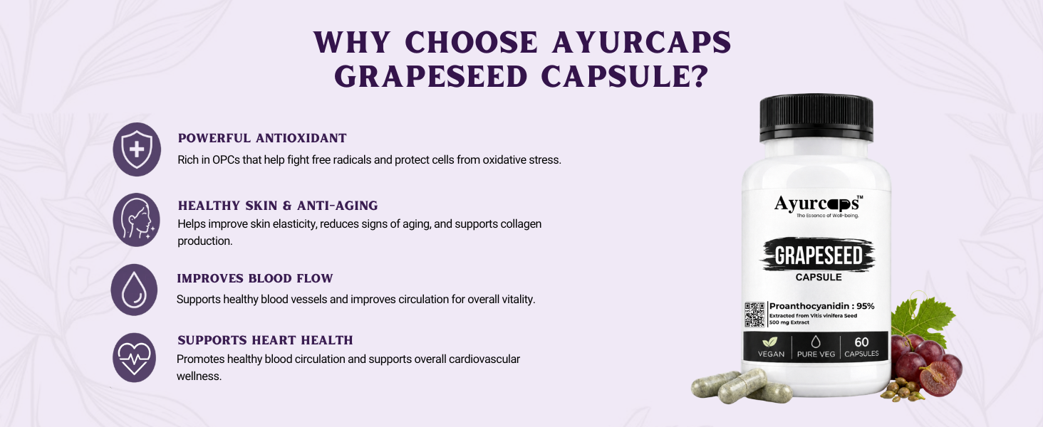 Grapeseed Capsule 500 mg 60 Capsule