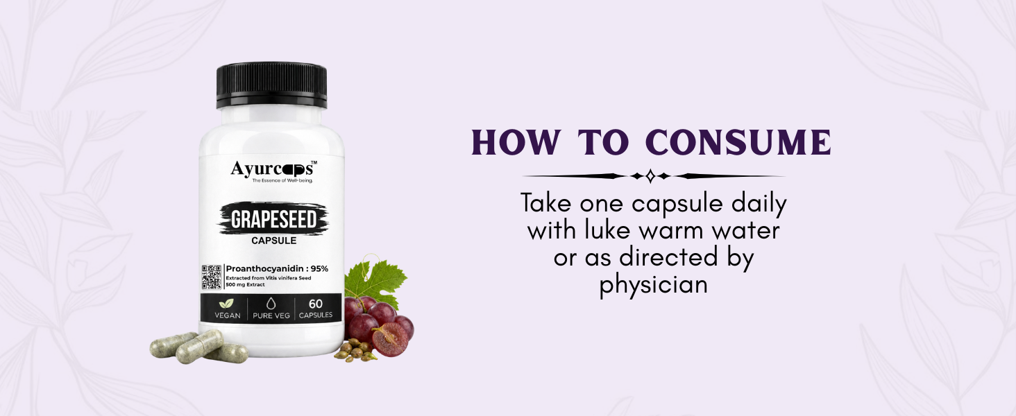 Grapeseed Capsule 500 mg 60 Capsule