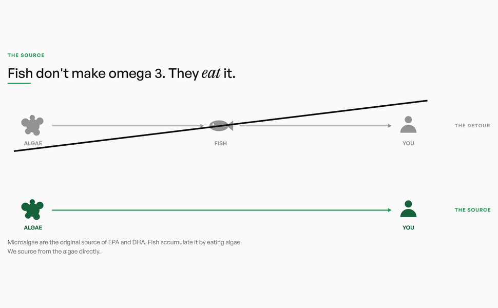 Deep Impact Microalgae Omega 3 Oil, 460mg DHA + 350mg EPA per 2ml dose