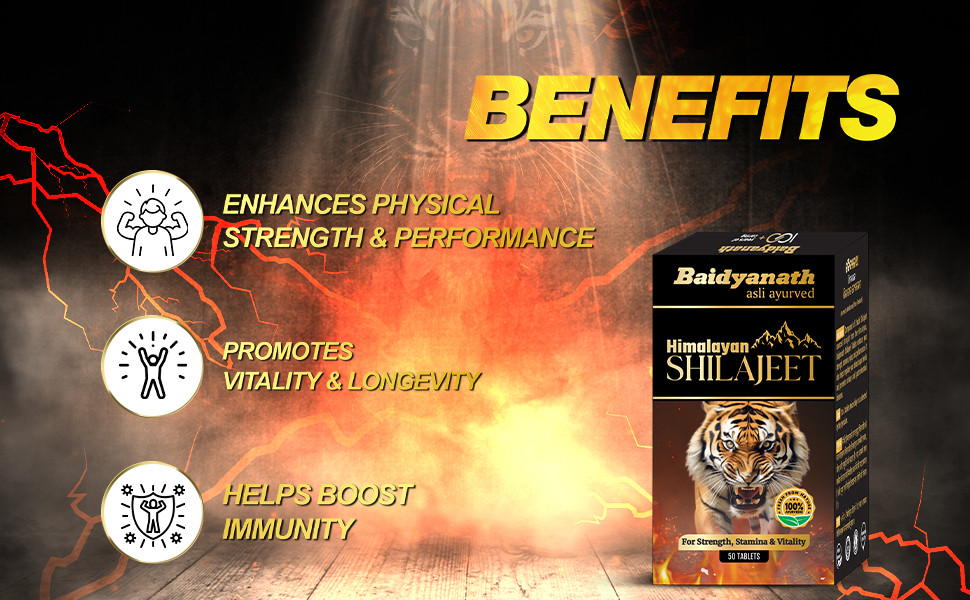 Baidyanath Shilajeet - 50 Tablets
