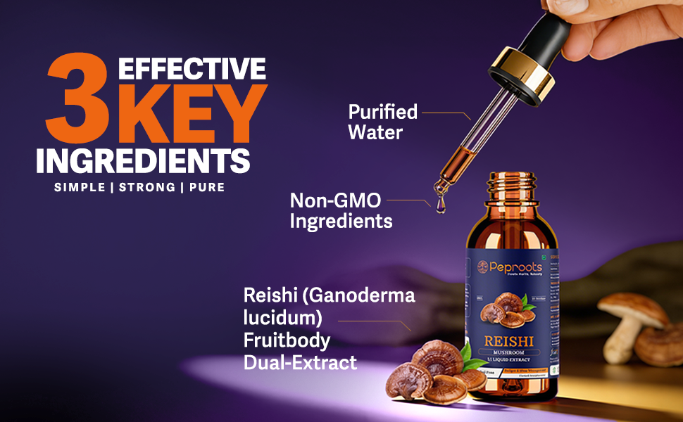 Reishi Mushroom Supplement | Liquid Extract for Heart Health, Stress Relief & Immune Support | Natural Herbal Superfood Tonic – Alcohol Free