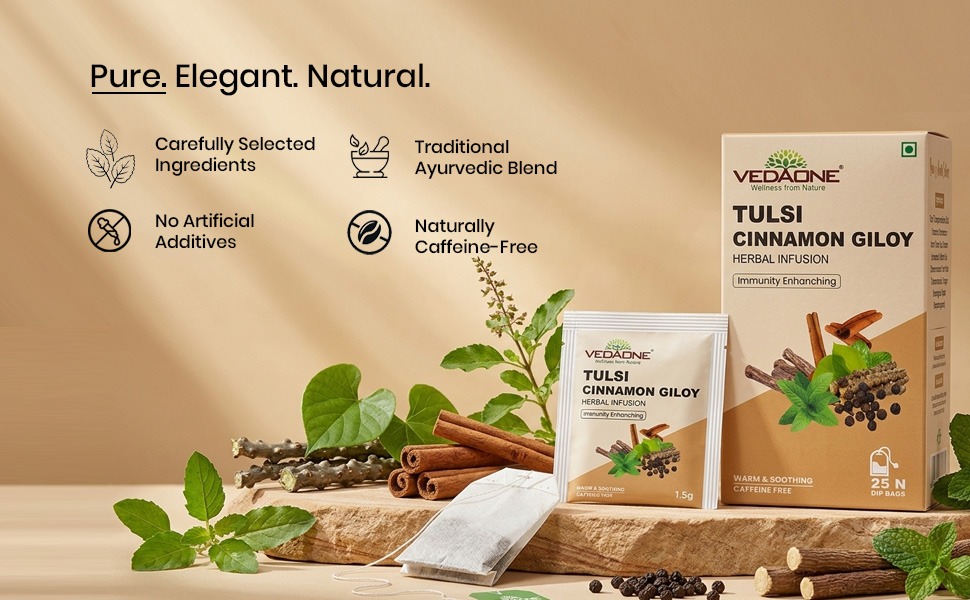 VEDAONE Tulsi Cinnamon Giloy Herbal Infusion (25 Dip Bags)