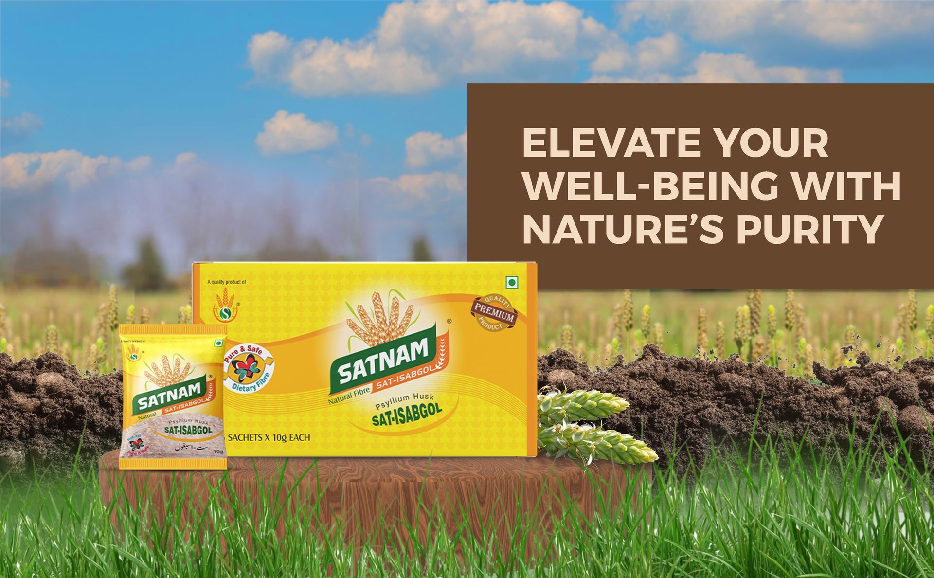 SATNAM Sat-Isabgol Psyllium Husk | Travel Friendly Pack | 250 Gram - 25 Sachets