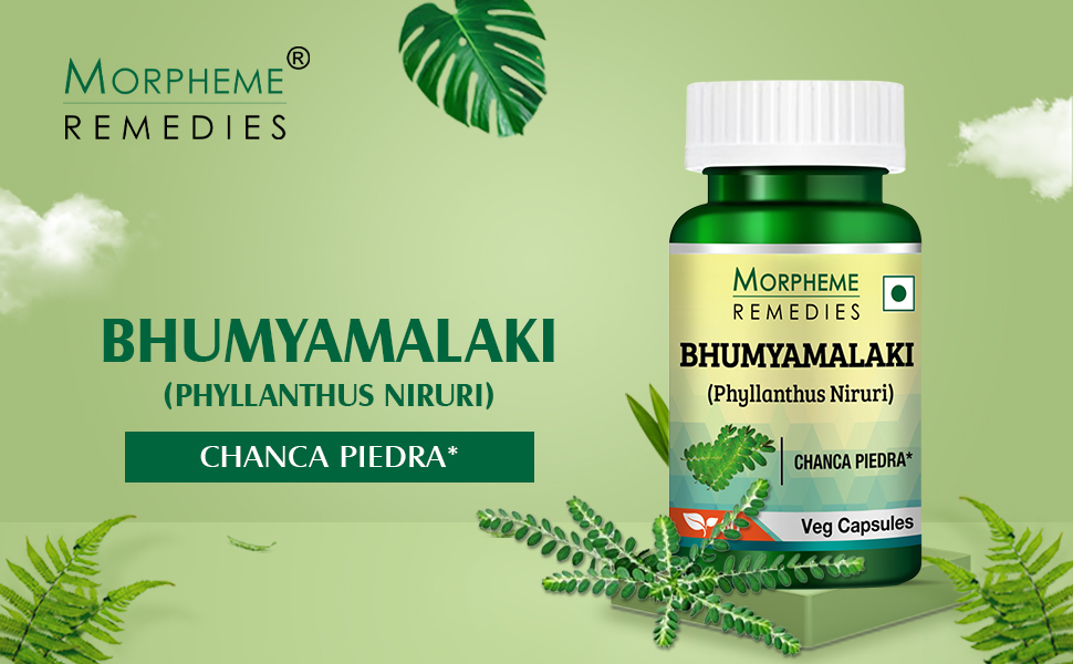 Morpheme Remedies Phyllanthus Niruri Bhumyamlaki 500 mg - 60 Veg Capsules