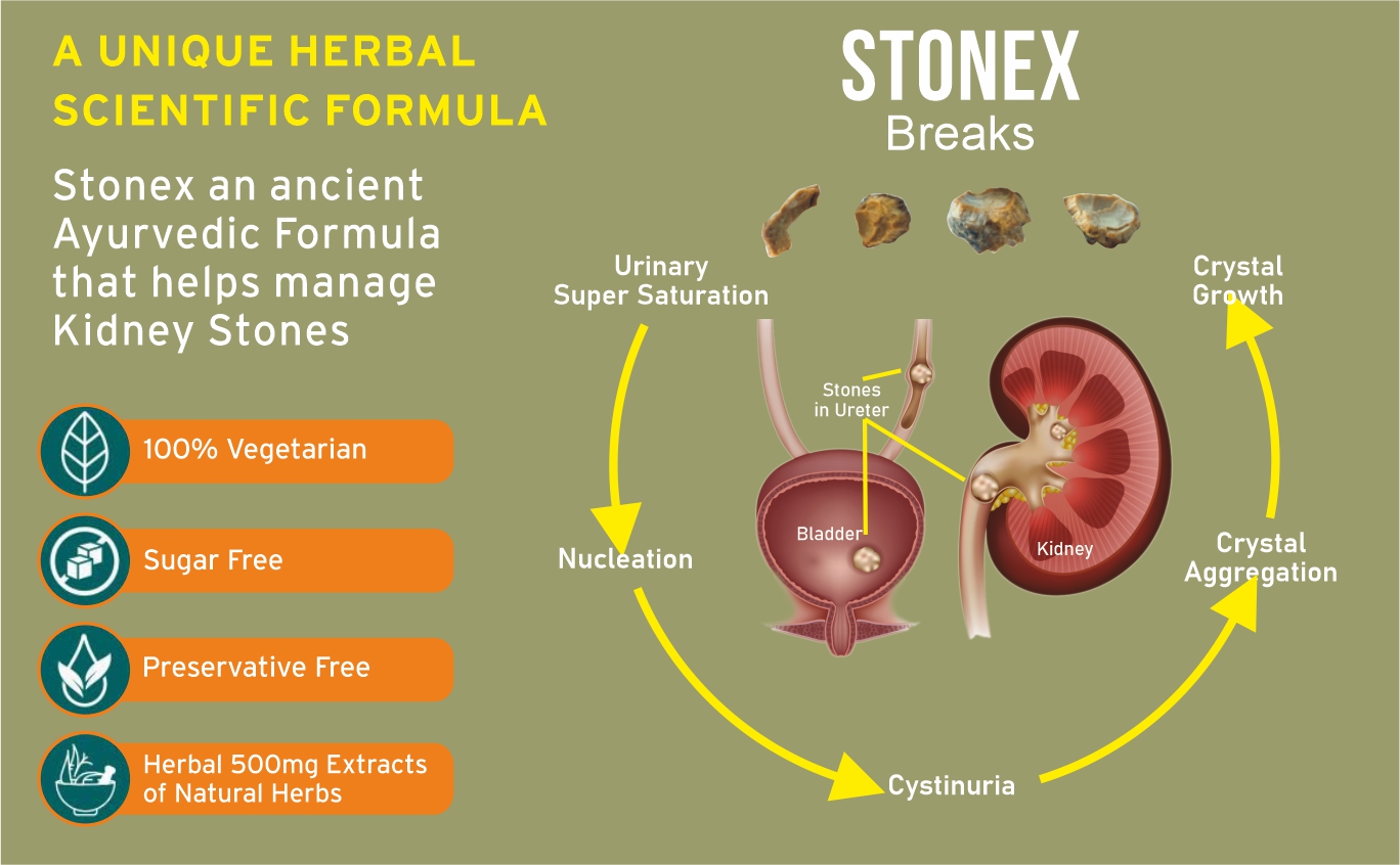 STONEX Helps to Detox Kidney Cleanse Purifier | Urinary Tract Infection (UTI), Kidney Stone Dissolution Herbal Supplement - 100 Capsules