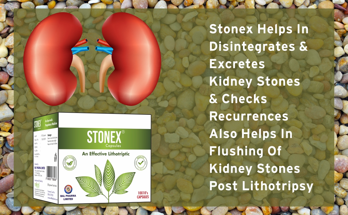 STONEX Helps to Detox Kidney Cleanse Purifier | Urinary Tract Infection (UTI), Kidney Stone Dissolution Herbal Supplement - 100 Capsules