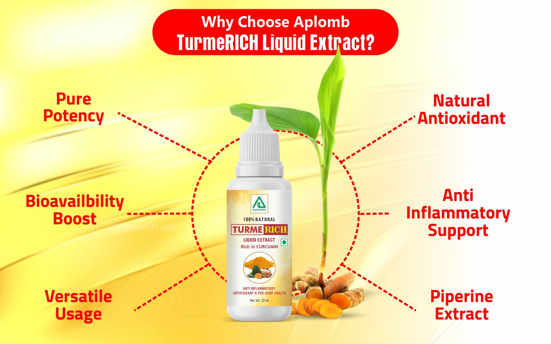 Aplomb Turmerich Liquid Extract | Turmeric Extract | Herbal Supplement | Antioxidant | Boost Immunity & Strength Naturally | 20ml
