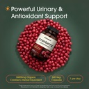 naturebell-cranberry-concentrate-240-cap-2.jpg