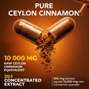 ceylon-cinnamon-capsules-500mg-per-servi-4.jpg
