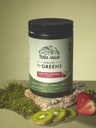 terra-origin-super-greens-powder-greens--6.jpg