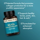 dr-mercola-silica-collagen-builder-plant-4.jpg