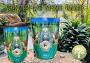 bamboo-tabashir-extract-highest-strength-5.jpg