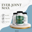 ever-joint-max-joint-support-supplement--2.jpg