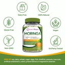 doctor-s-recipes-moringa-complete-green--5.jpg