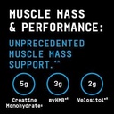 beyond-raw-dynamic-gainer-high-tech-mass-5.jpg