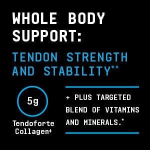 beyond-raw-dynamic-gainer-high-tech-mass-6.jpg