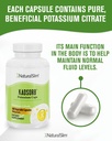 naturalslim-natural-potassium-citrate-gl-6.jpg