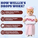 4oz-liquid-iron-supplement-for-cats-dogs-5.jpg