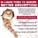 liquid-iron-supplements-for-cats-and-kit-2.jpg