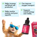 liquid-iron-supplement-for-cats-dogs-b12-2.jpg