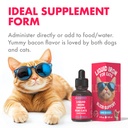 liquid-iron-supplement-for-cats-dogs-b12-3.jpg