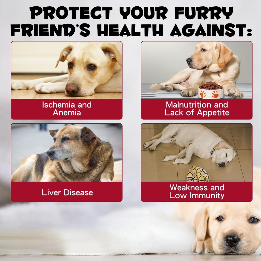 iron-supplements-for-dogs-liquid-iron-fo-2.jpg