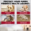 iron-supplements-for-dogs-liquid-iron-fo-2.jpg