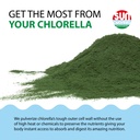 sun-chlorella-powder-green-algae-superfo-5.jpg