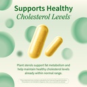 snap-supplements-cholesterol-health-orga-2.jpg