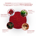 red-s-kitchen-sink-pressure-be-gone-dail-4.jpg