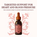 herbs-etc-hb-pressure-tonic-2-oz-2.jpg