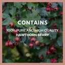 remedy-s-nutrition-hawthorn-berry-1-000--4.jpg