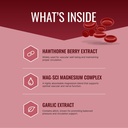 approved-science-bloodsyl-blood-pressure-2.jpg