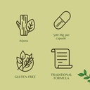 ayurvedashree-arjuna-extract-500mg-60-ve-5.jpg