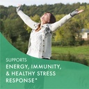 pure-essence-labs-profema-multivitamin-f-4.jpg