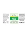 nascent-iodine-supports-energy-immune-an-4.jpg