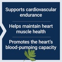 life-extension-cardio-peak-cardiovascula-4.jpg