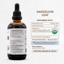 secrets-of-the-tribe-dandelion-leaf-usda-4.jpg