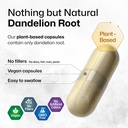 bio-krauter-dandelion-root-extract-for-l-4.jpg