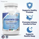 prostate-911-advanced-men-s-health-suppl-2.jpg