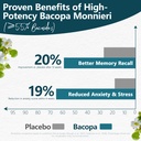 bacopa-monnieri-supplement-300mg-organic-3.jpg